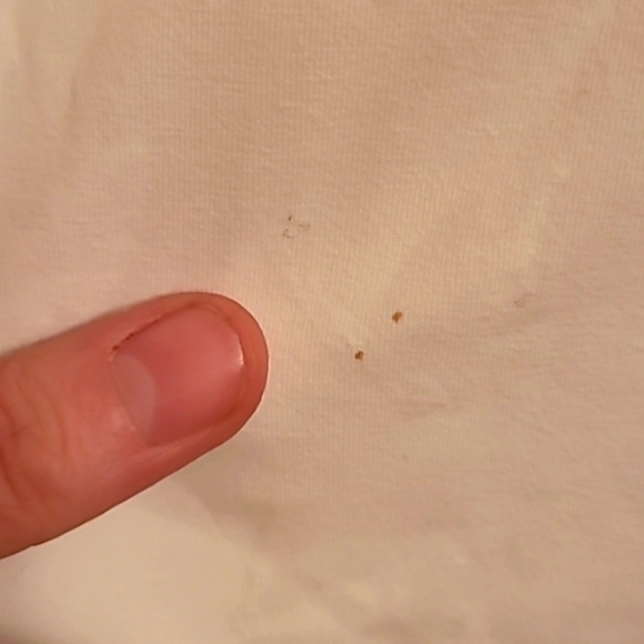 Marcelo Burlon White Wings T-Shirt - Picture 6 of 12